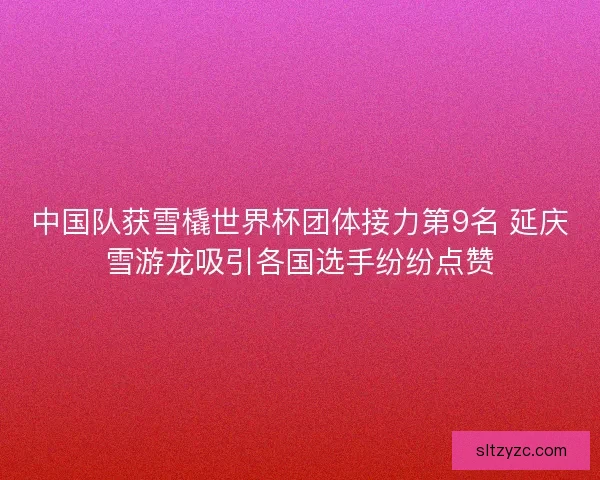 中国队获雪橇世界杯团体接力第9名 延庆雪游龙吸引各国选手纷纷点赞