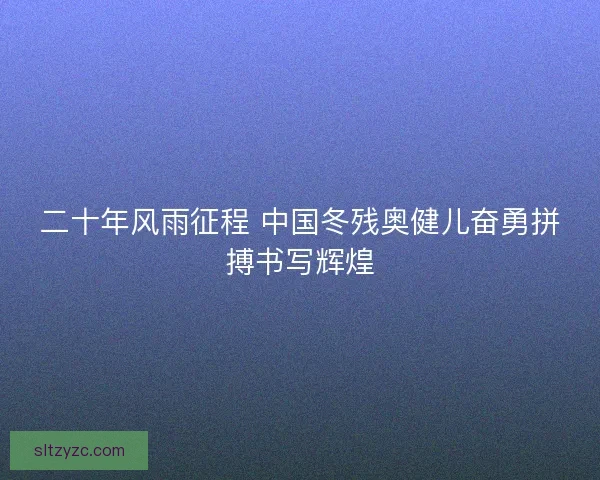 二十年风雨征程 中国冬残奥健儿奋勇拼搏书写辉煌 二十年风雨征程 中国冬残奥健儿奋勇拼搏书写辉煌